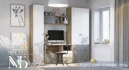 Шкаф для одежды Тренд 